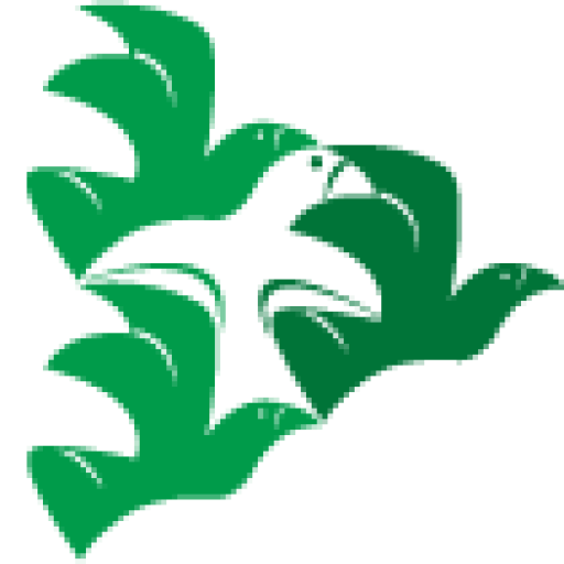 cropped-headerlogo.png